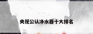 央视公认净水器十大排名