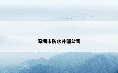 深圳市防水补漏公司