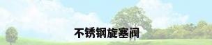 不锈钢旋塞阀