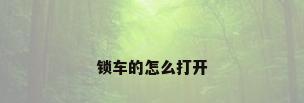 锁车的怎么打开