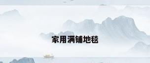 家用满铺地毯