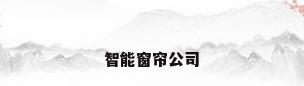 智能窗帘公司