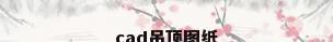cad吊顶图纸