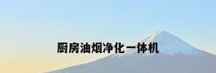 厨房油烟净化一体机