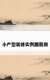 小户型装修实例图厨房