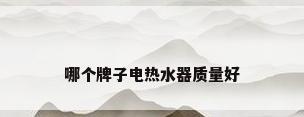 哪个牌子电热水器质量好