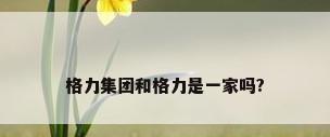 格力集团和格力是一家吗?