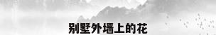 别墅外墙上的花