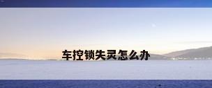 车控锁失灵怎么办