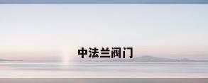 中法兰阀门