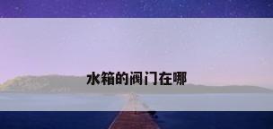 水箱的阀门在哪