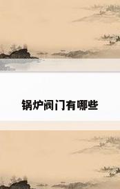 锅炉阀门有哪些