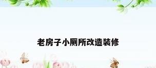 老房子小厕所改造装修