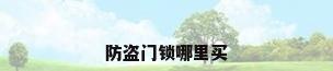 防盗门锁哪里买