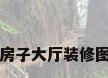 房子大厅装修图