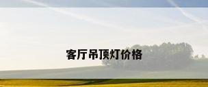客厅吊顶灯价格