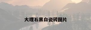 大理石黑白瓷砖图片