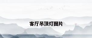 客厅吊顶灯图片