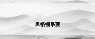 黑格栅吊顶