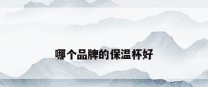 哪个品牌的保温杯好