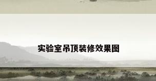 实验室吊顶装修效果图