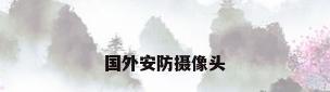 国外安防摄像头