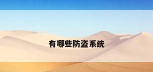 有哪些防盗系统