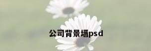 公司背景墙psd