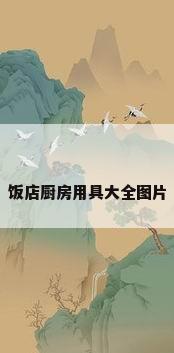 饭店厨房用具大全图片