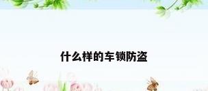 什么样的车锁防盗