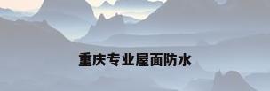重庆专业屋面防水