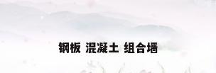 钢板 混凝土 组合墙