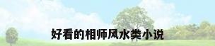 好看的相师风水类小说