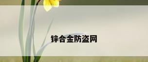 锌合金防盗网