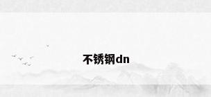 不锈钢dn