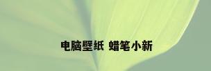 电脑壁纸 蜡笔小新