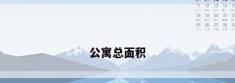 公寓总面积