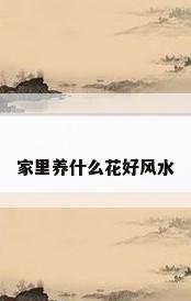 家里养什么花好风水