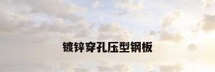 镀锌穿孔压型钢板