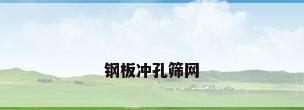 钢板冲孔筛网
