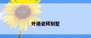 外墙瓷砖别墅