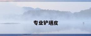 专业铲墙皮