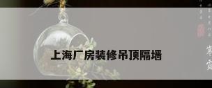 上海厂房装修吊顶隔墙