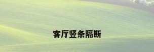 客厅竖条隔断