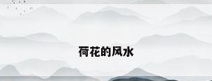 荷花的风水