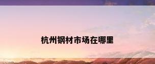 杭州钢材市场在哪里