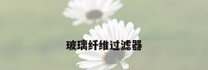 玻璃纤维过滤器