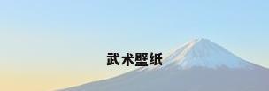 武术壁纸