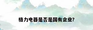 格力电器是否是国有企业?