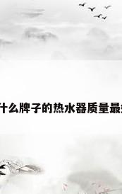 有人是否晓得什么牌子的热水器质量最好?哪些比较好
